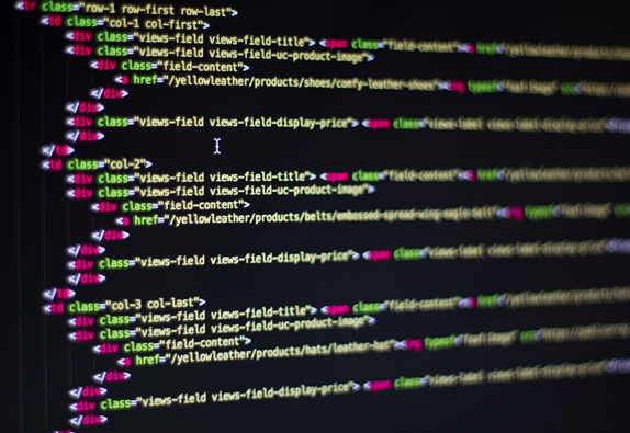 Web Design Case Study